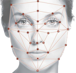 Facial Keypoints Detection: An Effort to Top the Kaggle Leaderboard