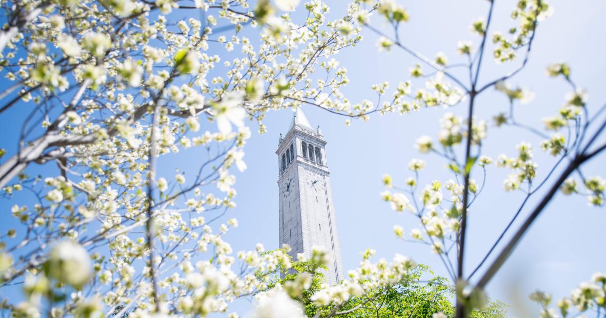 UC Berkeley Named #1 Online Master’s In Cybersecurity | UC Berkeley ...