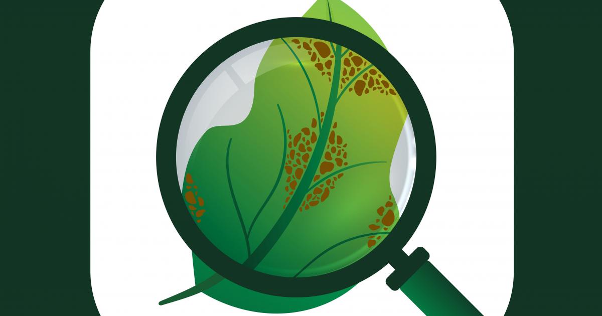 plant disease detection app github
