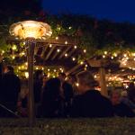 A twilight scene in the courtyard of Jupiter, with strands of lights twinkling overhead