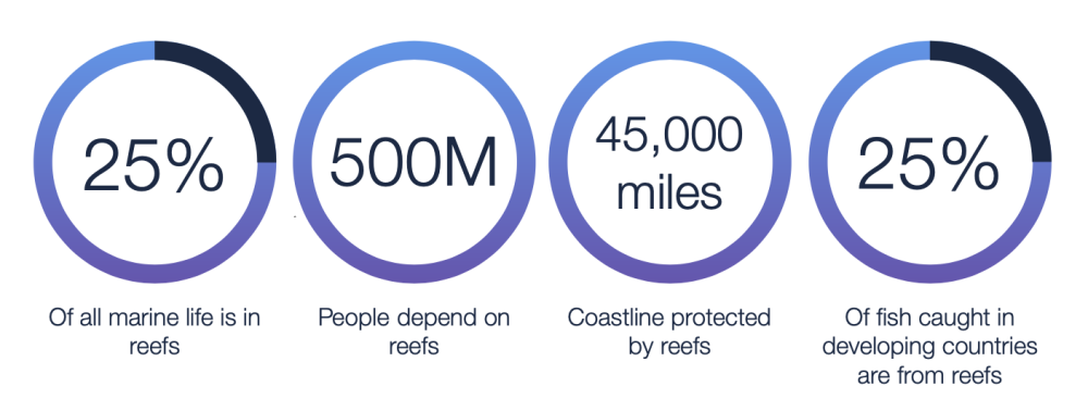 Coral Reef Impact 