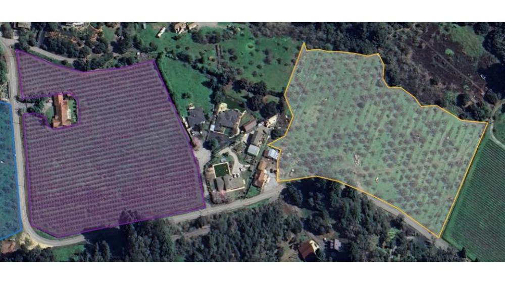 Birds eye view of apple orchards in Watsonville, CA.