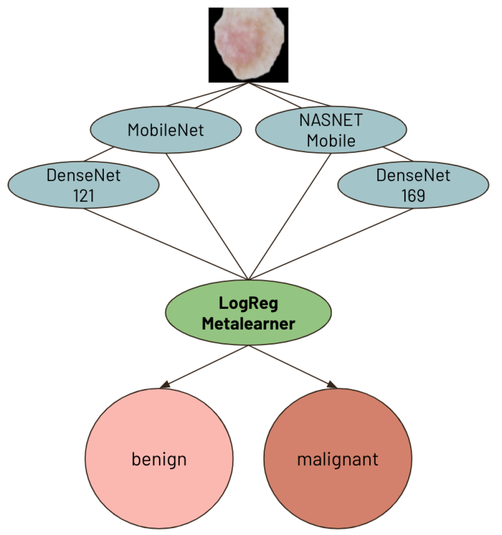 Diagram of Model Workflow