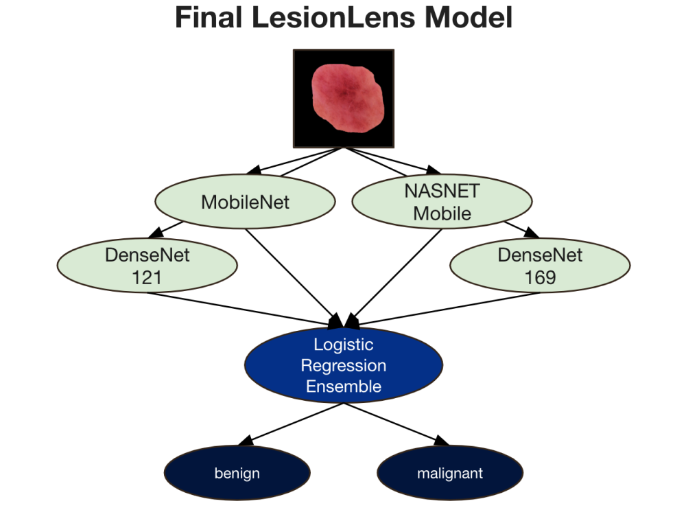 Model Workflow