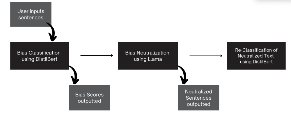 Evaluation flow diagram for BIASCheck