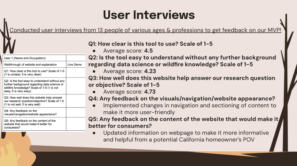 User Interviews