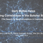 Dark Matter Halos: Analyzing Correlations in the Bolshoi Simulations
