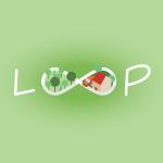 loop_cover_image.jpg