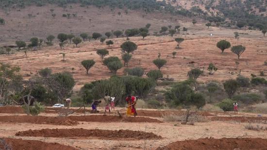 arid and semi arid lands in Africa