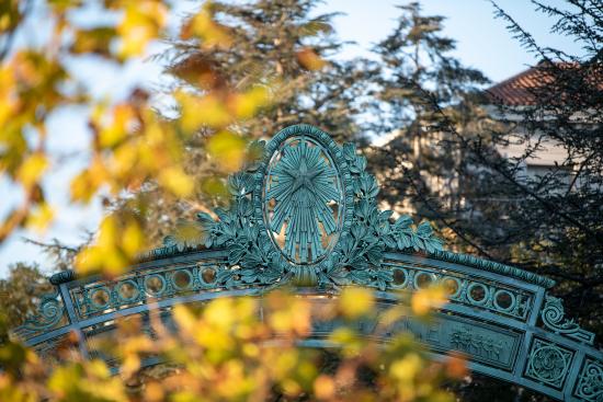 image of Sather Gate surrounded by yellow flowers