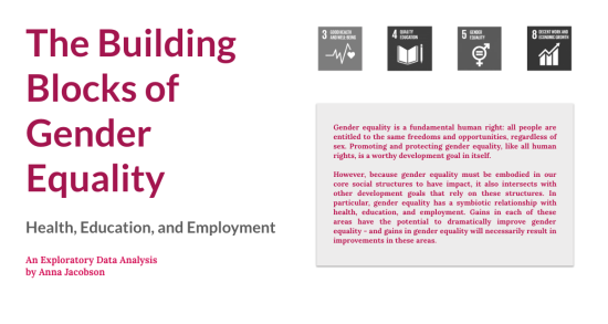 Anna Jacobson's data visualization "The Building Blocks of Gender Equality"