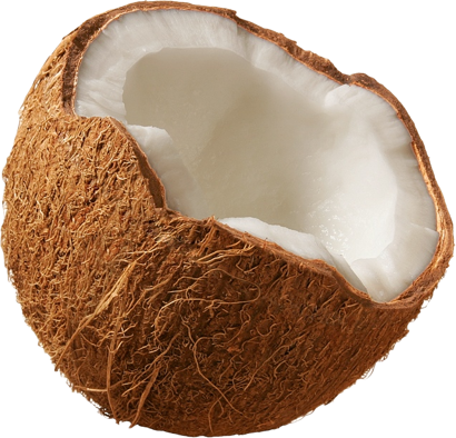 coconut.png