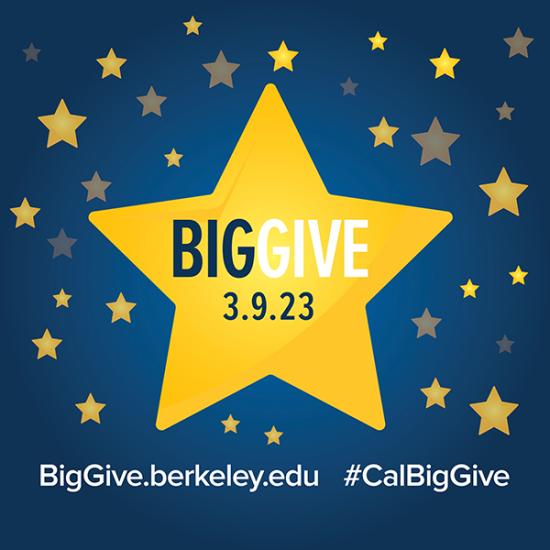 Big Give is March 9, 2023