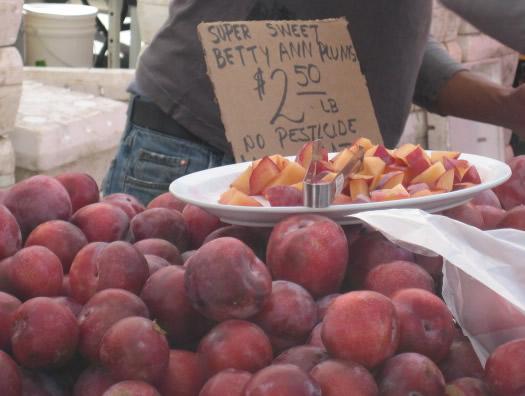 <b>Consumers:</b> Buying locally-grown plums at the Berkeley Farmers' Market